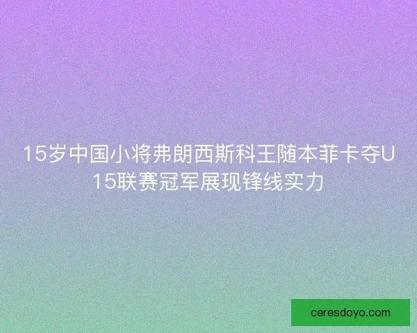 15岁中国小将弗朗西斯科王随本菲卡夺U15联赛冠军展现锋线实力 15岁中国小将弗朗西斯科王随本菲卡夺U15联赛冠军展现锋线实力