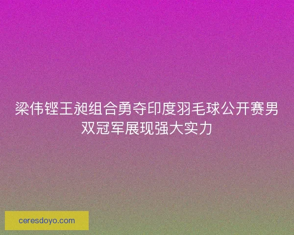 梁伟铿王昶组合勇夺印度羽毛球公开赛男双冠军展现强大实力
