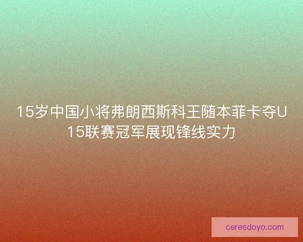 15岁中国小将弗朗西斯科王随本菲卡夺U15联赛冠军展现锋线实力 15岁中国小将弗朗西斯科王随本菲卡夺U15联赛冠军展现锋线实力