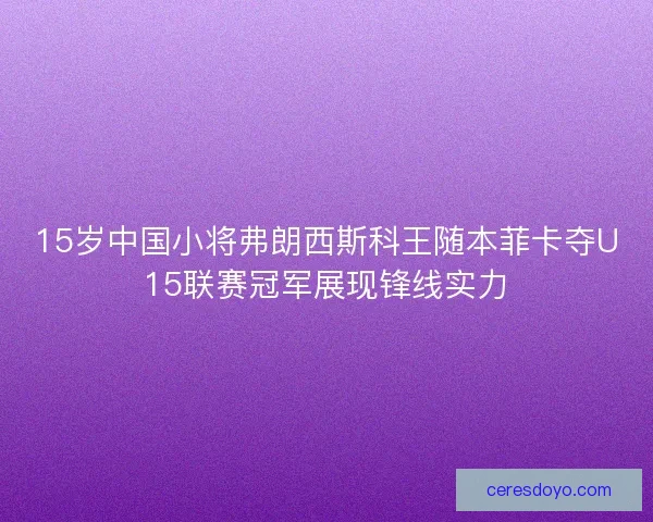 15岁中国小将弗朗西斯科王随本菲卡夺U15联赛冠军展现锋线实力 15岁中国小将弗朗西斯科王随本菲卡夺U15联赛冠军展现锋线实力