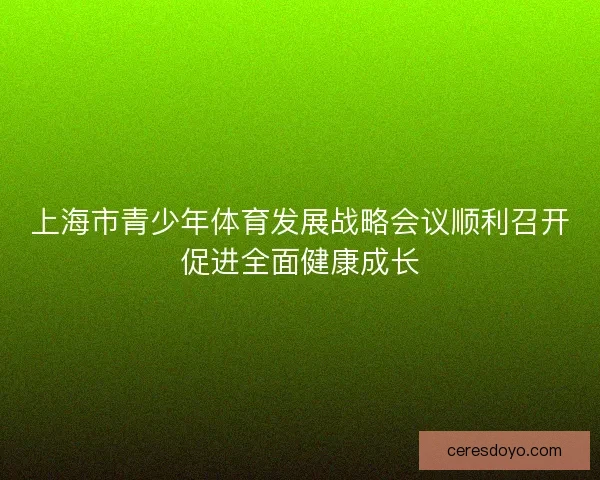 上海市青少年体育发展战略会议顺利召开促进全面健康成长 上海市青少年体育发展战略会议顺利召开促进全面健康成长
